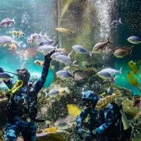 aquarium-tanks-may-2023