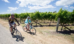 wineries ride