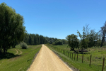 Temp Closure - Puketapu Link